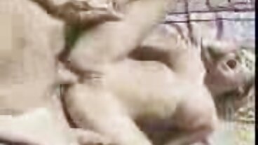 Xxx ટેટૂ મહિલા સેકસી બીપી વીડીયો